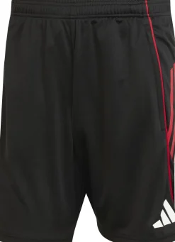 Ajax Amsterdam Tiro 25 Competition Training Short