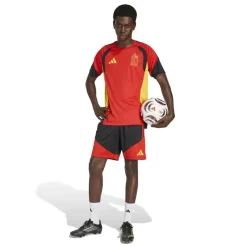 België Training Shorts