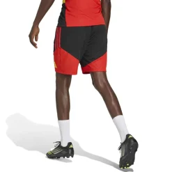 België Training Shorts