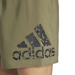 Big Logo CLX Korte zwemshort
