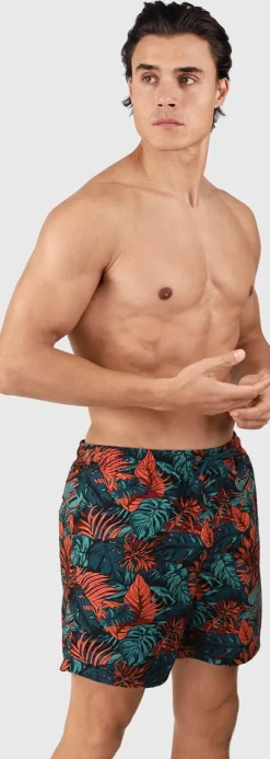 Cester-ao Men Swim Shorts