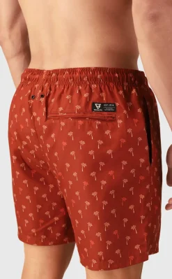 Cester-mini Men Swim Shorts