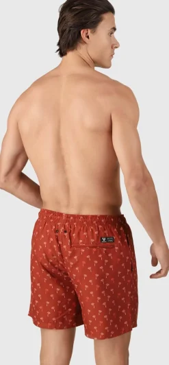 Cester-mini Men Swim Shorts