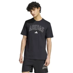COLLEGIATE LINEAGE GRAPHIC T-SHIRT