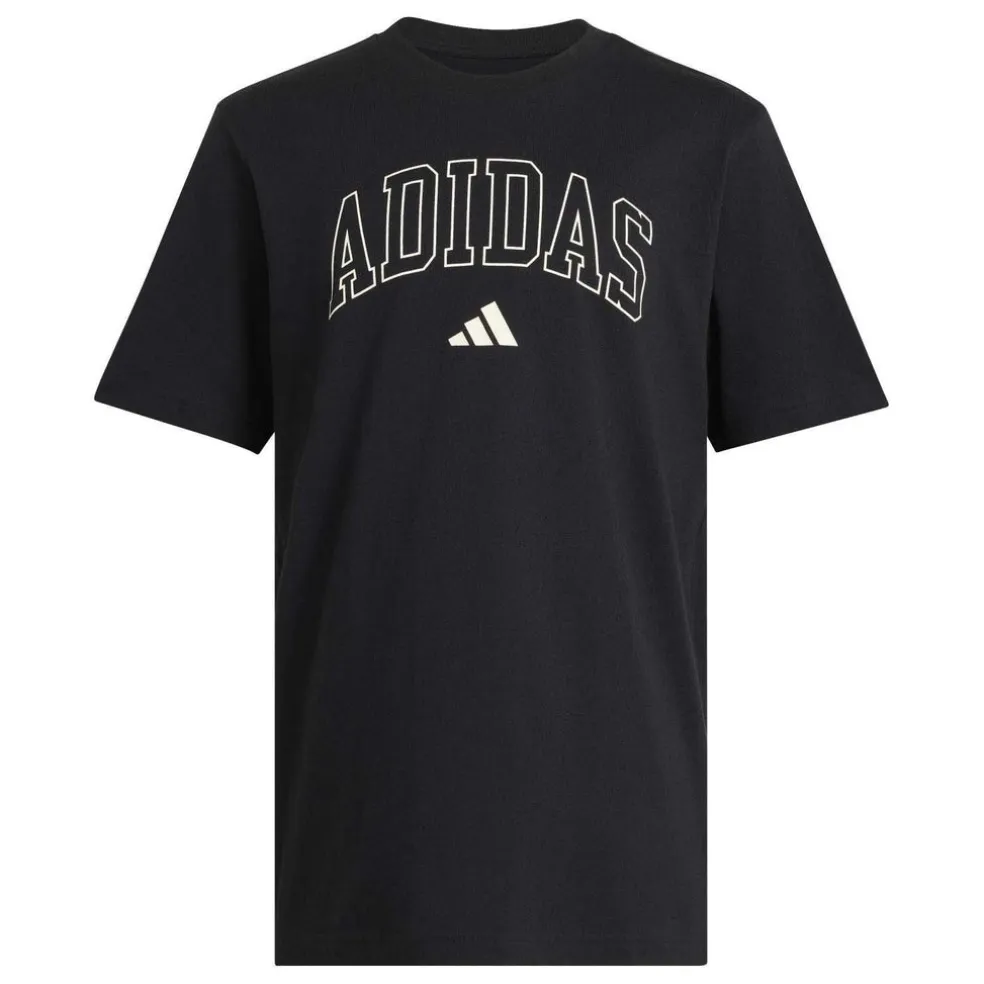 COLLEGIATE LINEAGE GRAPHIC T-SHIRT