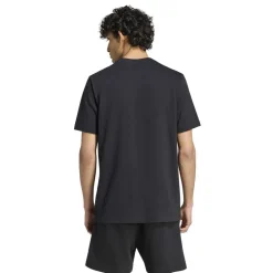 COLLEGIATE LINEAGE GRAPHIC T-SHIRT