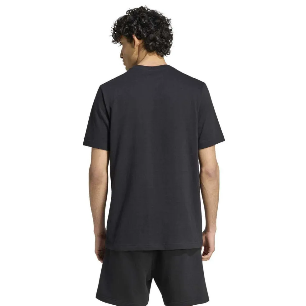 COLLEGIATE LINEAGE GRAPHIC T-SHIRT