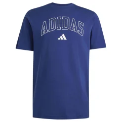 COLLEGIATE LINEAGE GRAPHIC T-SHIRT