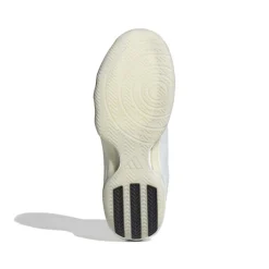 crazyflight 7 mid indoorschoenen