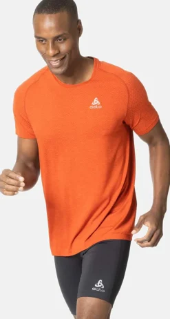 Crew Neck Seamless shirt