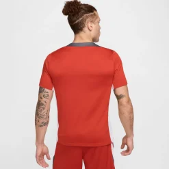 Dri-FIT Strike shirt
