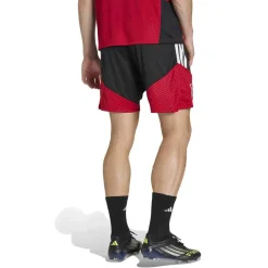 Duitsland Training Shorts