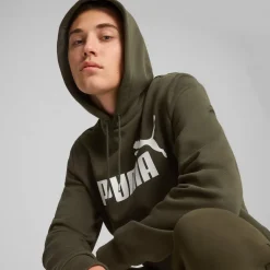 Essential Big Logo hoodie
