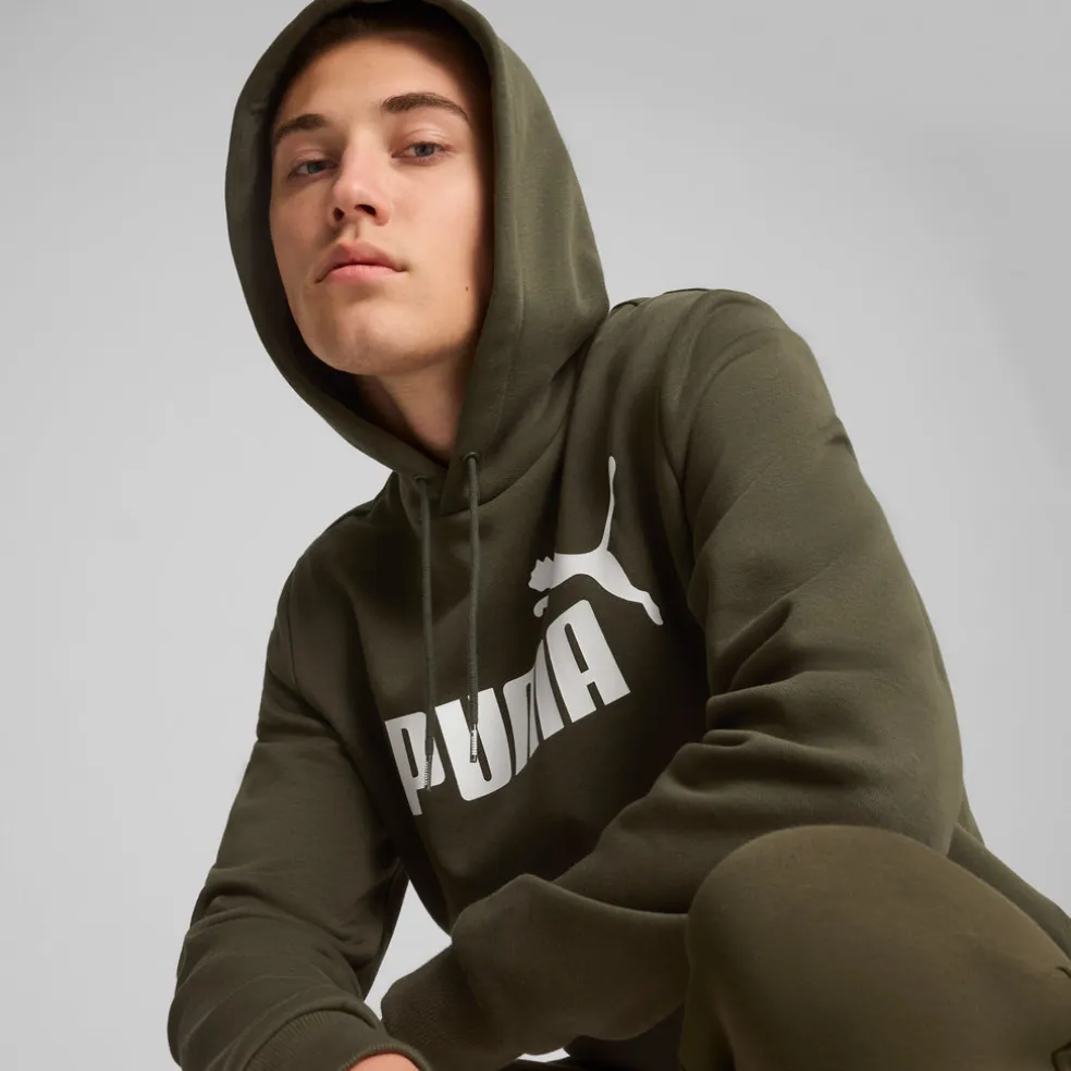 Essential Big Logo hoodie