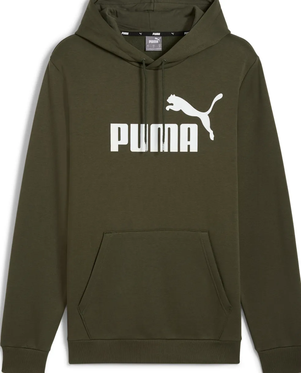Essential Big Logo hoodie