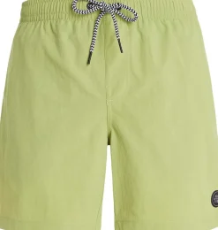 Faster Beachshort