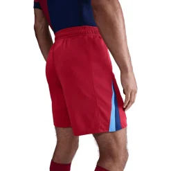 FC Barcelona Men's Dri-FIT Voetbal Replica Korte broek