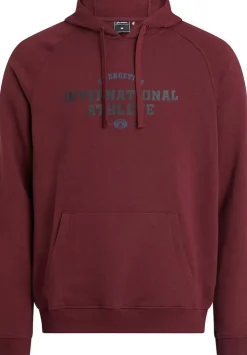 Gery II hoodie