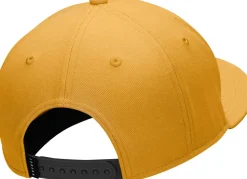 Jordan Jumpman Pro Adjustable pet