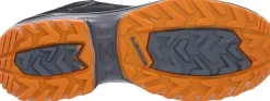 lowa innox evo gtx lo asphalt/blue