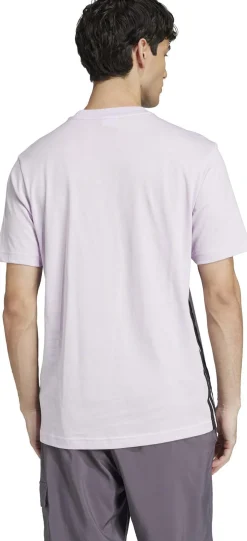 M 3s Sj T