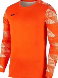 Nike Dri-fit Park 4 Goalkeeper Jby