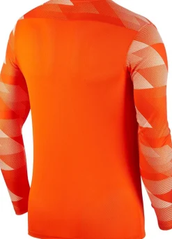 Nike Dri-fit Park 4 Goalkeeper Jby
