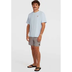 Originals Stripe 15 Zwemshort