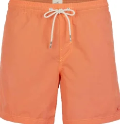 Pm Vert Shorts