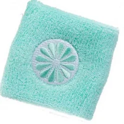 polsband