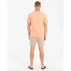 Prtgraig Shorts