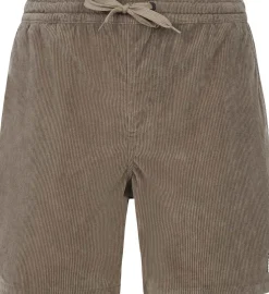 Prtuleyo Shorts