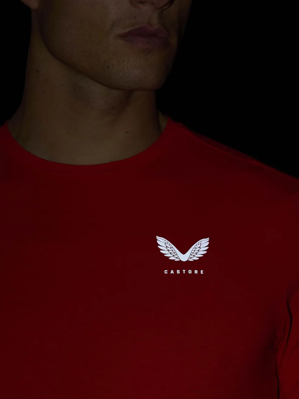 Ss T Shirt