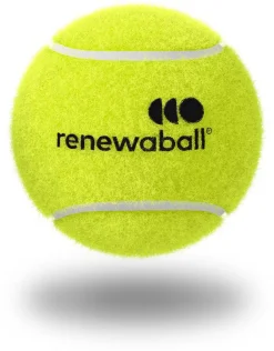 Tennisballen koker 4 stuks