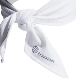 Ten Tie bandana
