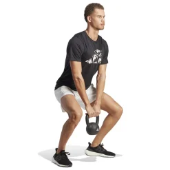 Train Essentials Seasonal Training Graphic shirt