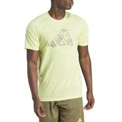 Train Essentials Seasonal Training Graphic shirt