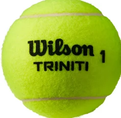 Trinity 4-pack tennisballentube