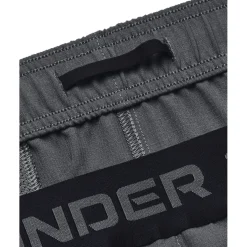 Vanish Woven 6in short