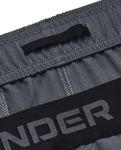 Vanish Woven 6in short