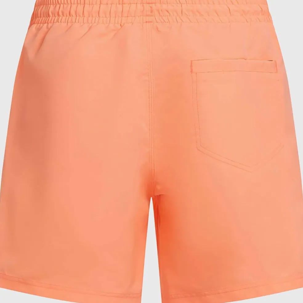 Vert 16 Zwemshort