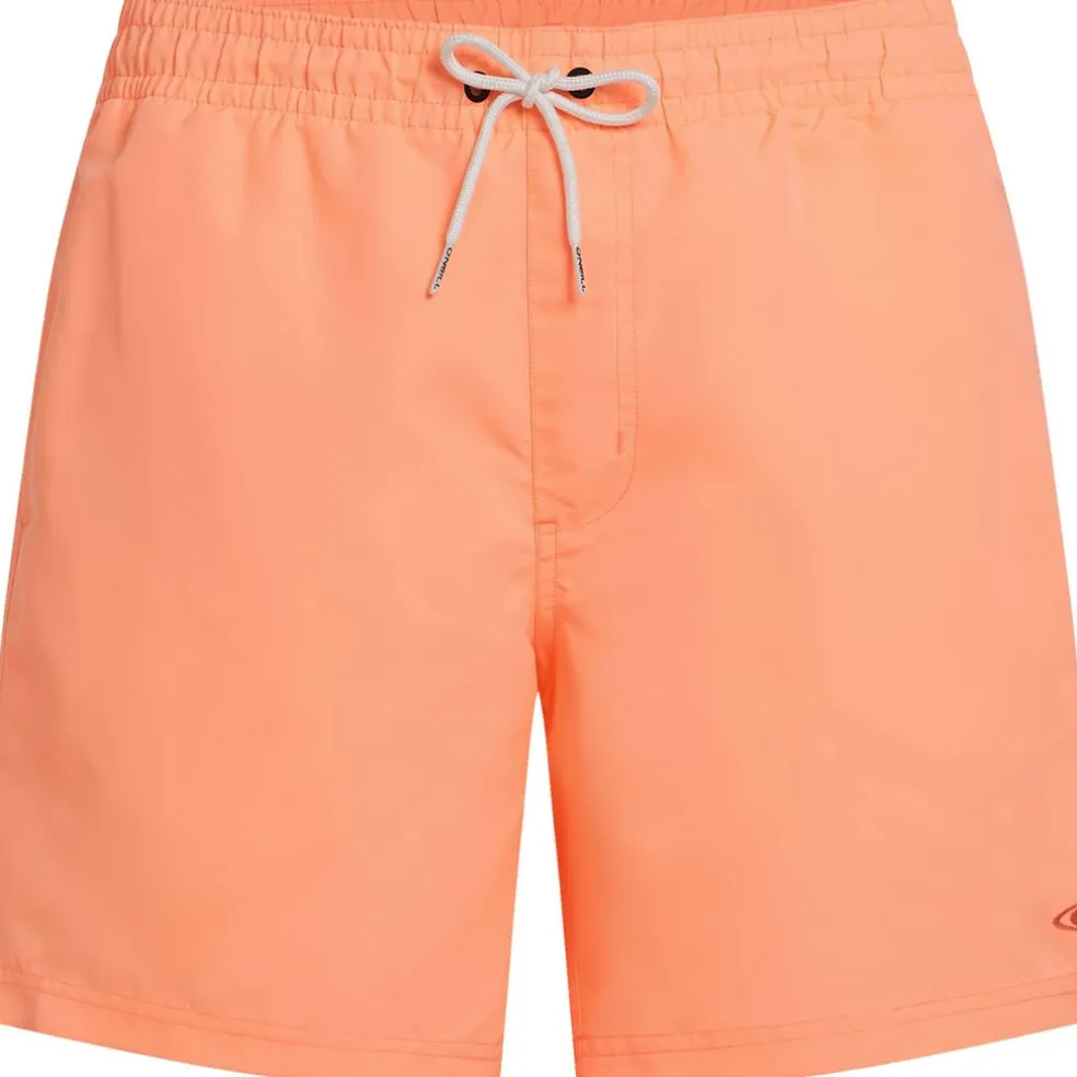 Vert 16 Zwemshort