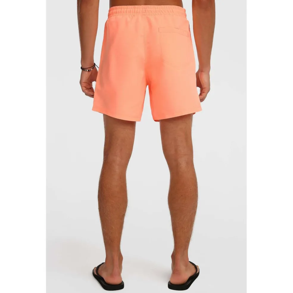 Vert 16 Zwemshort