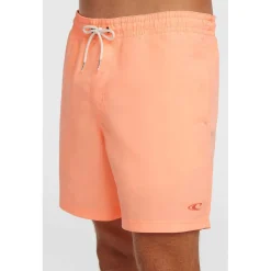 Vert 16 Zwemshort
