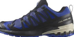 Xa Pro 3d V9 Gore-tex wandelschoenen